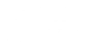 Arena Flowers